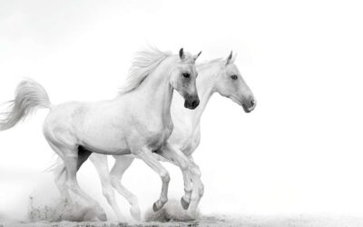 Why Will Jesus Physically Return to Earth, and What will we see?