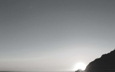 What Will Happen This Upcoming Year?