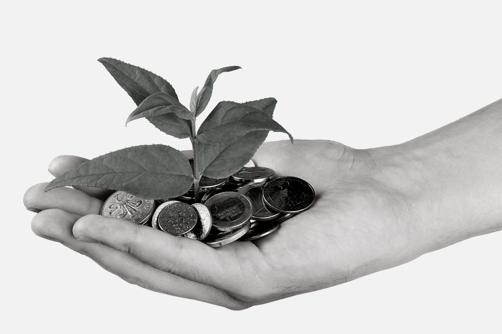 Hand holding coins with plant growing among them.