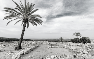 The Campaign of Armageddon and Christ’s Return