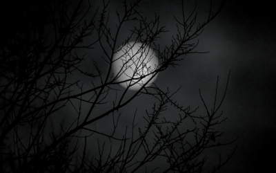 The Paranormal Becomes the New Normal