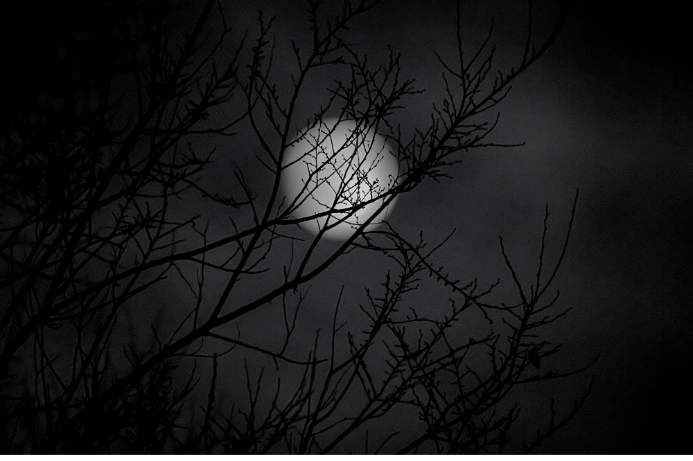 The Paranormal Becomes the New Normal