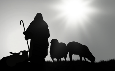 A Baby Like No Other